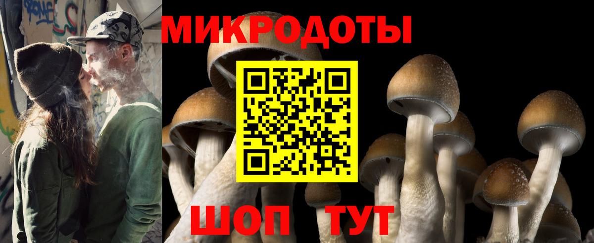 Галлюциногенные грибы Cubensis Черногорск